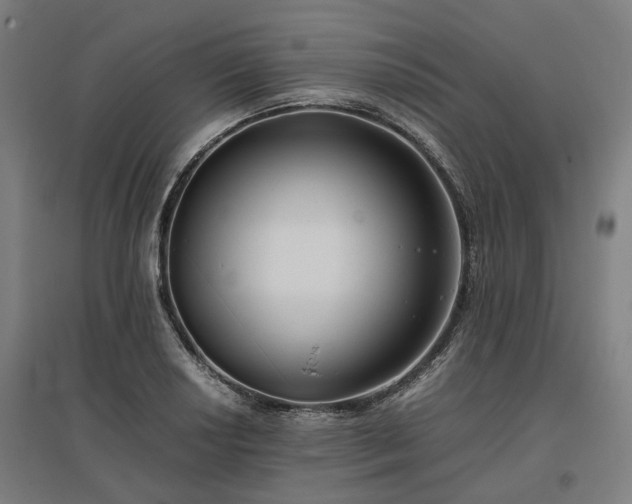 X0000096981034200802151326