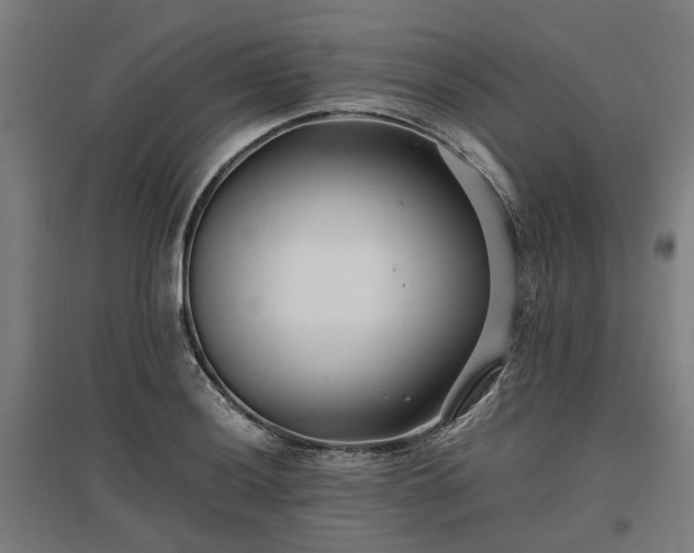 X0000096981036200802151326