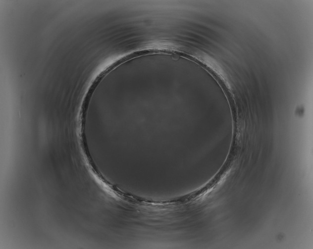 X0000096981037200802151326