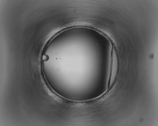 X0000096981038200802151326