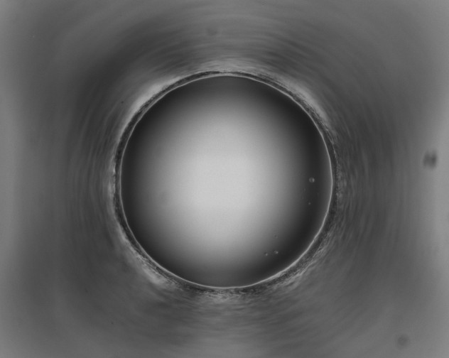 X0000096981040200802151326