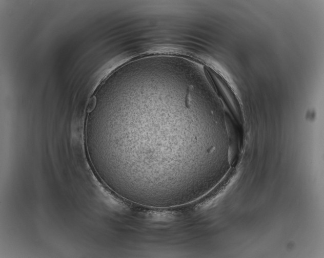 X0000096981041200802151326