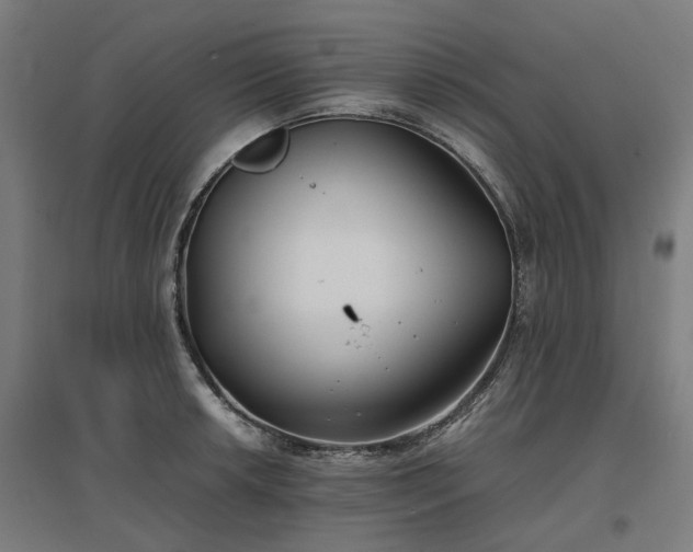 X0000096981042200802151326