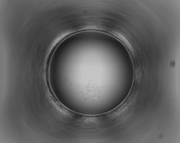 X0000096981043200802151326