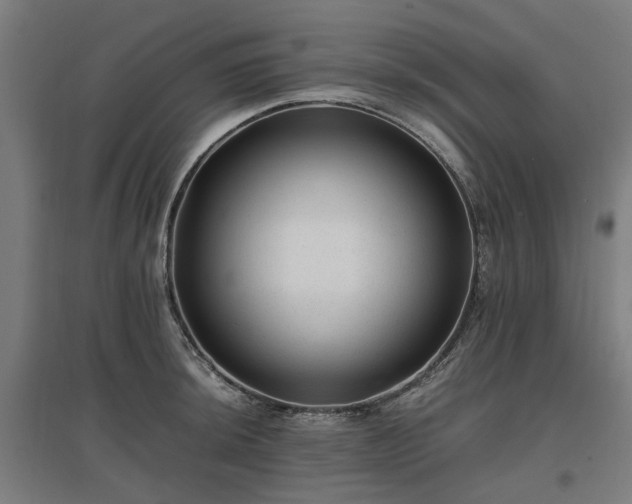 X0000096981044200802151326