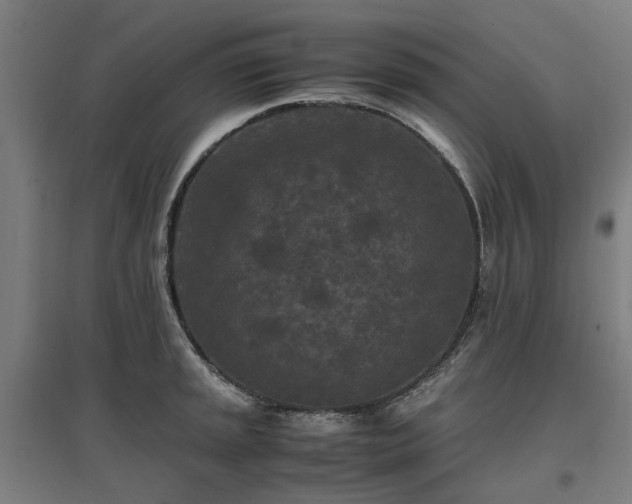 X0000096981045200802151326