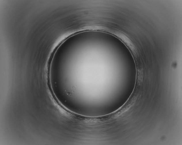 X0000096981046200802151326