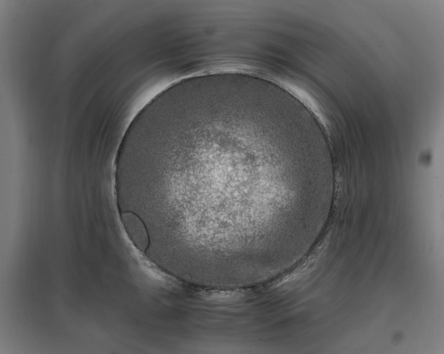 X0000096981047200802151326