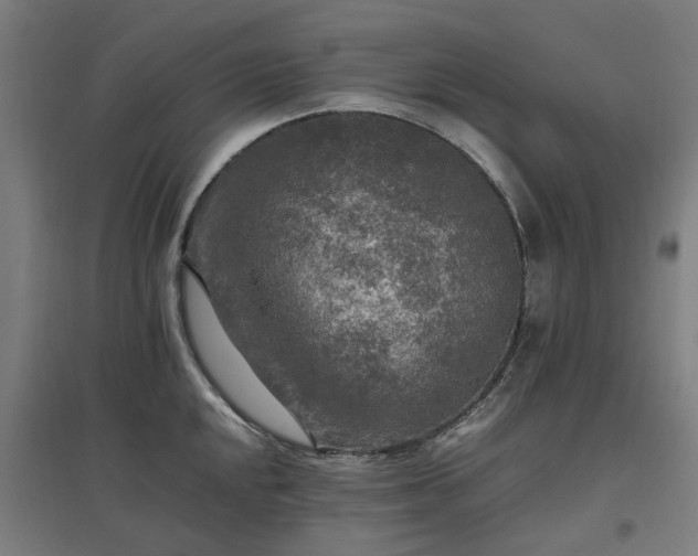 X0000096981048200802151326