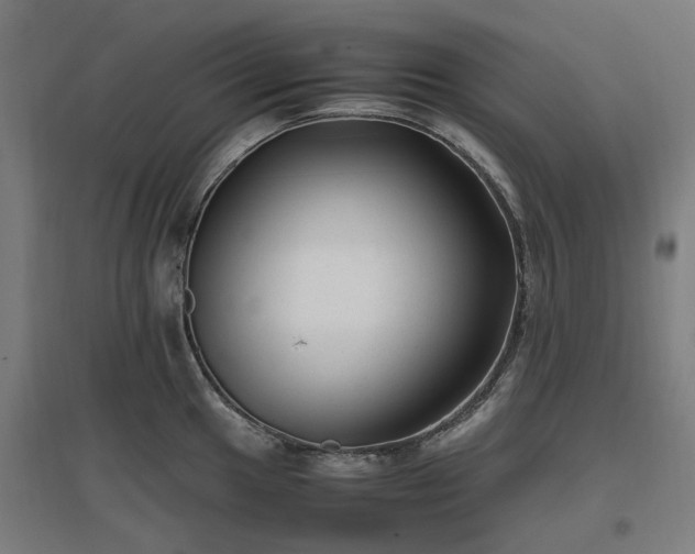 X0000096981049200802151326