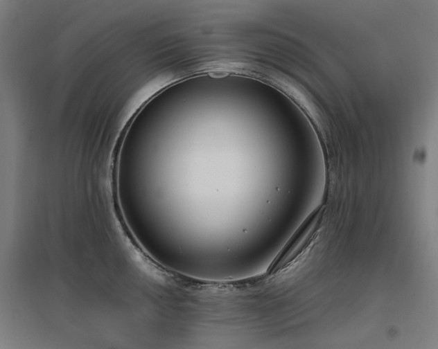 X0000096981050200802151326