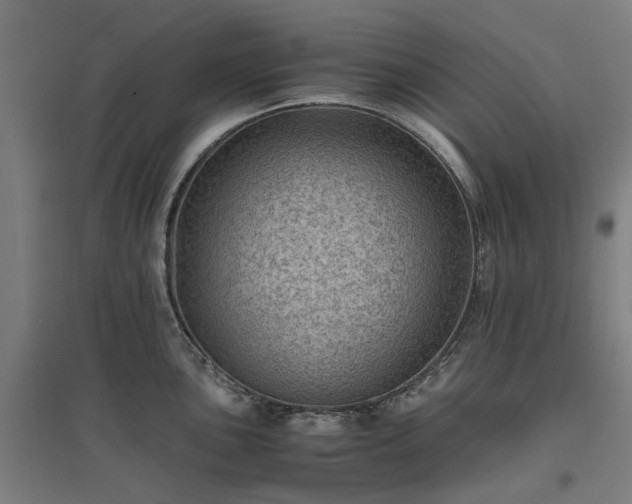 X0000096981051200802151326