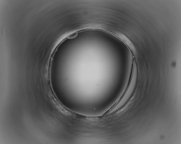 X0000096981052200802151326