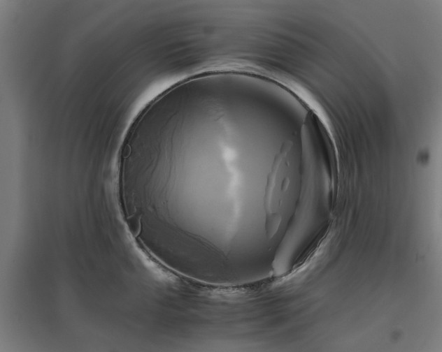 X0000096981053200802151326