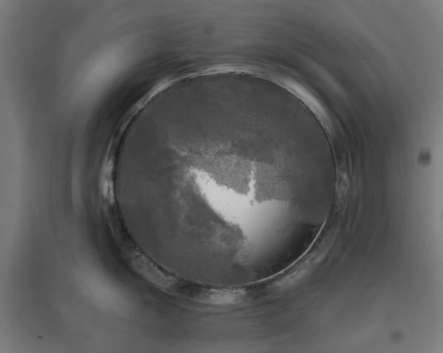 X0000096981055200802151326