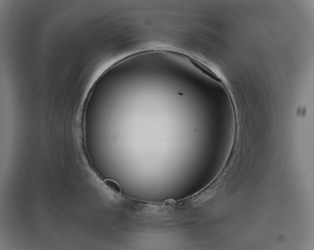 X0000096981056200802151326