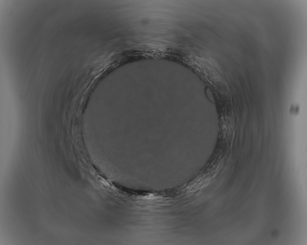 X0000096981057200802151325