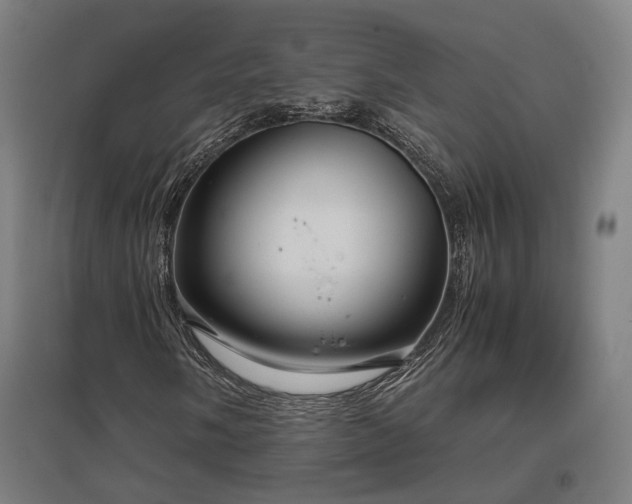 X0000096981058200802151325