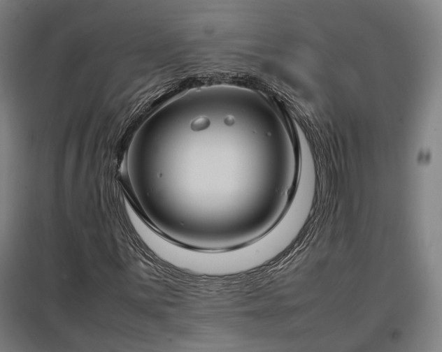 X0000096981059200802151325