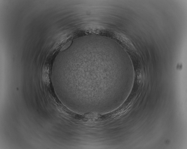 X0000096981060200802151325