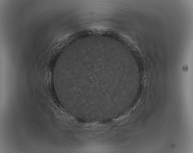 X0000096981061200802151325