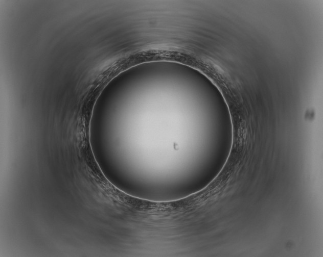 X0000096981062200802151325