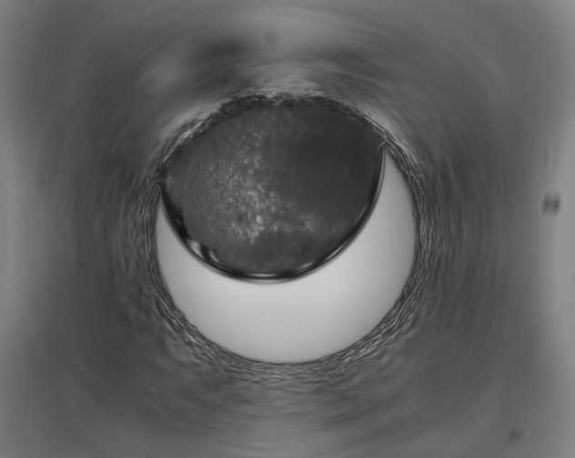 X0000096981063200802151325