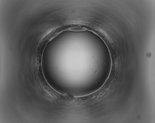 X0000096981064200802151325