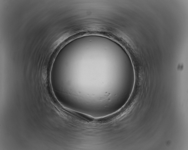 X0000096981065200802151325