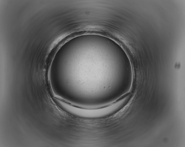 X0000096981066200802151325