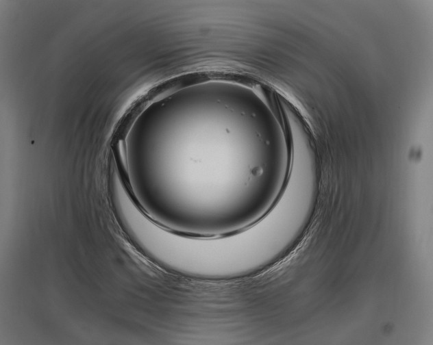 X0000096981067200802151325