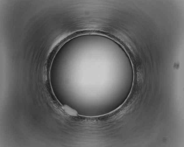 X0000096981069200802151325