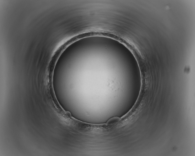 X0000096981070200802151325