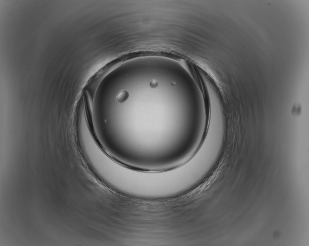 X0000096981071200802151325