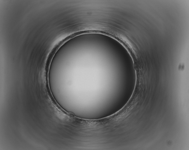 X0000096981072200802151325