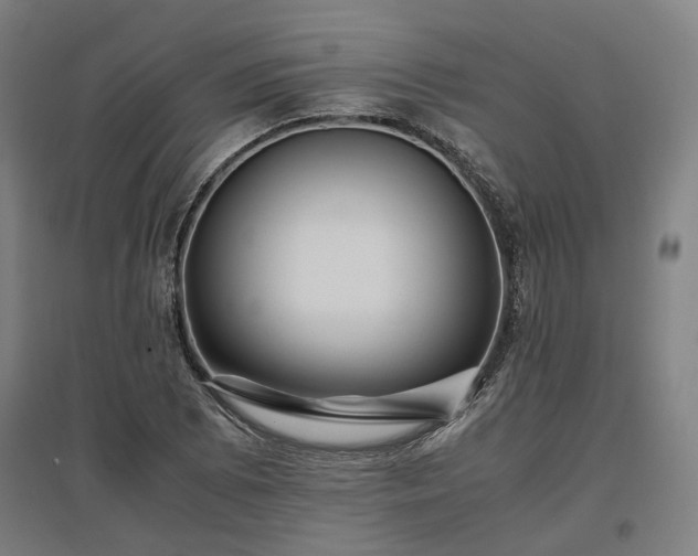 X0000096981073200802151325