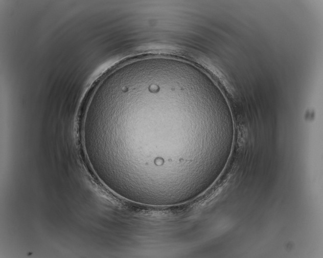 X0000096981074200802151325