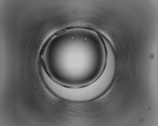 X0000096981075200802151325