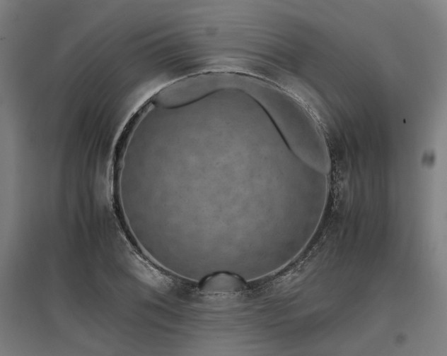 X0000096981076200802151325