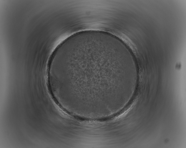 X0000096981077200802151325