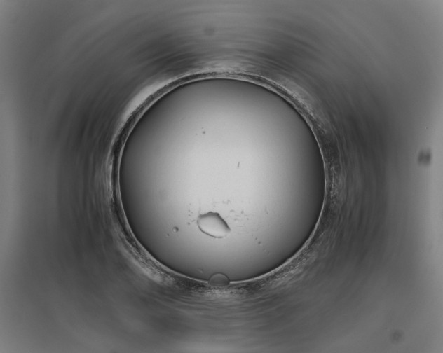 X0000096981078200802151325