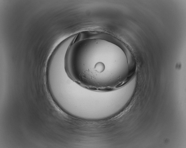 X0000096981079200802151325