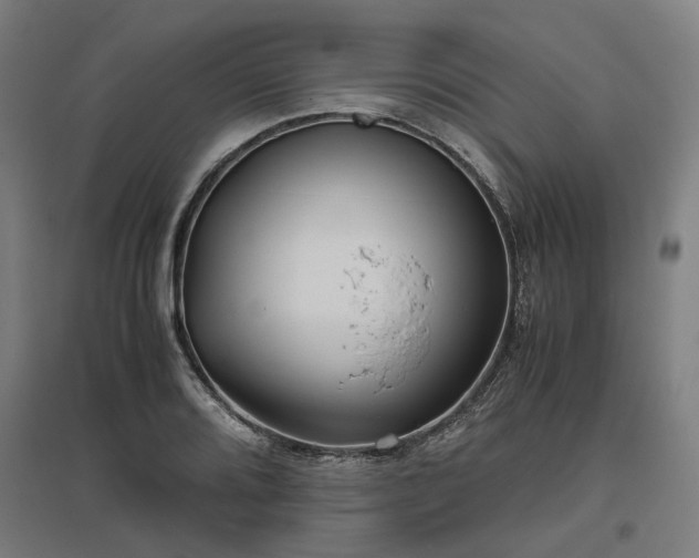 X0000096981080200802151325