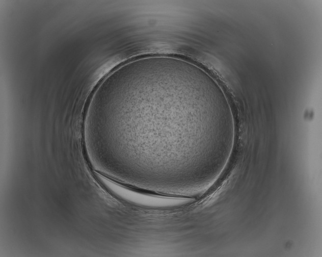 X0000096981081200802151325