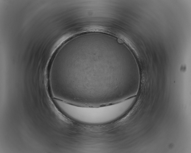 X0000096981082200802151325