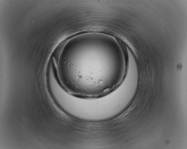 X0000096981083200802151325