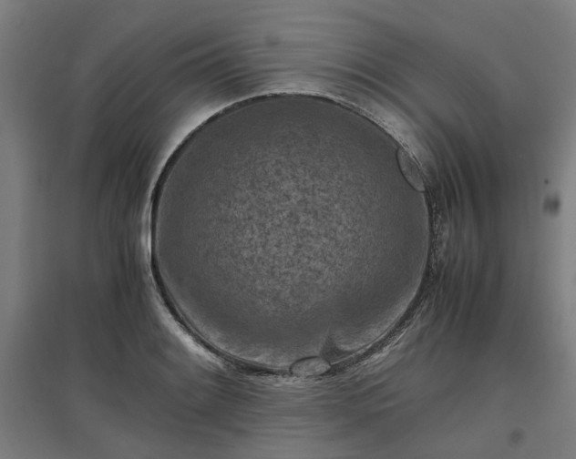 X0000096981084200802151325