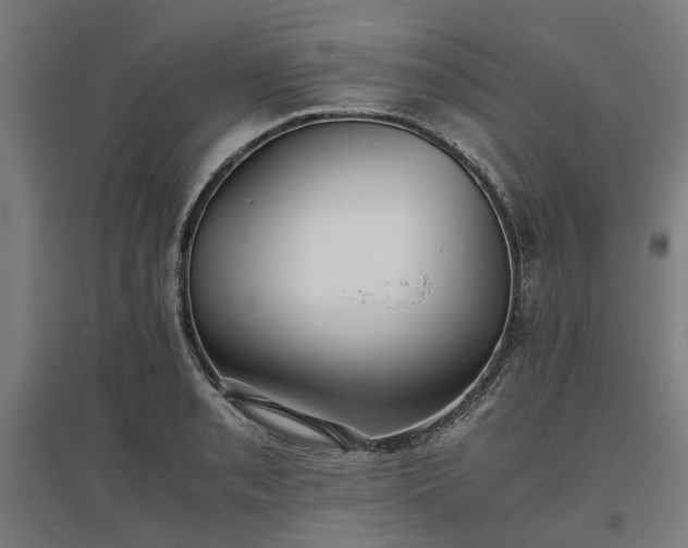 X0000096981085200802151325