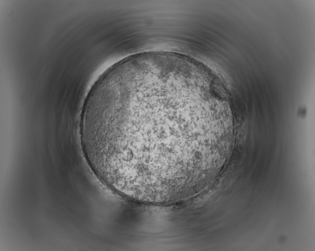 X0000096981086200802151325