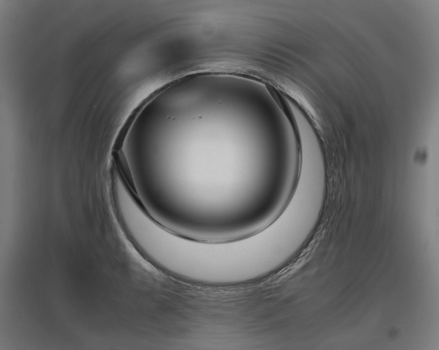 X0000096981087200802151325